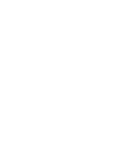 tiktok icon