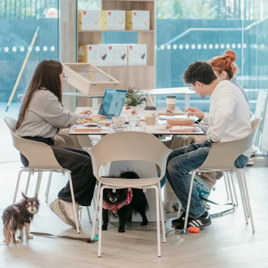 Calixto Café workspace in Ciudad de México